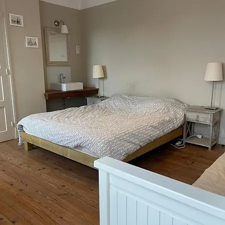 Maison Landaise Spacieuse Pour 12 Pers. A Avec Jardin - Fr-1-239-1101